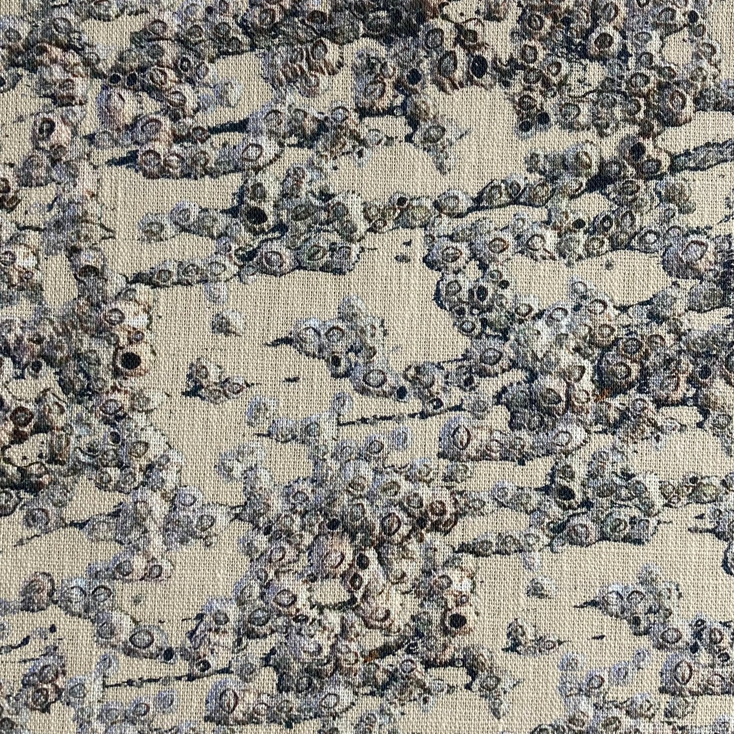 NEW Barnacles Sand Linen